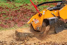 Best Aeration Services  in Toppenish, WA